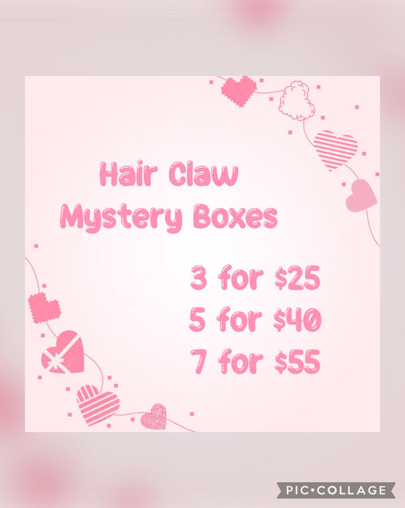 Hair Claw Mystery Boxes